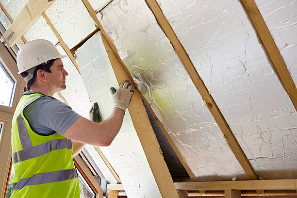 Trusted Versailles, IN Insulation Services Experts